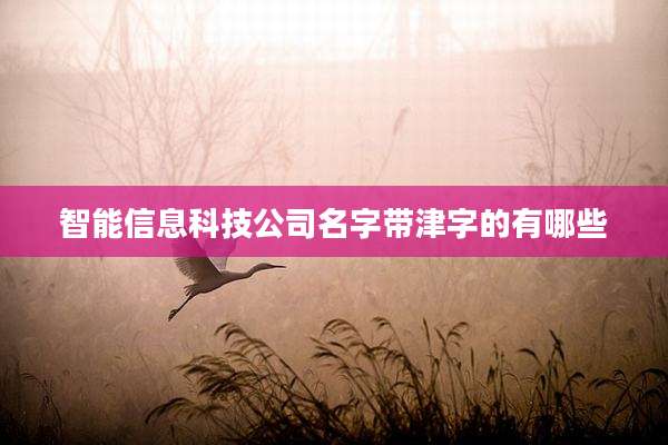 智能信息科技公司名字带津字的有哪些