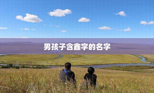 男孩子含鑫字的名字