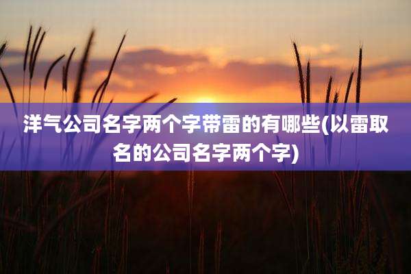 洋气公司名字两个字带雷的有哪些(以雷取名的公司名字两个字)