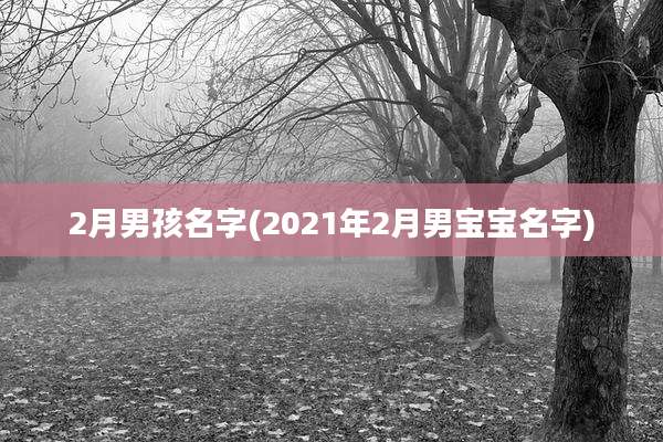 2月男孩名字(2021年2月男宝宝名字)