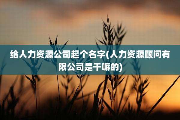 给人力资源公司起个名字(人力资源顾问有限公司是干嘛的)