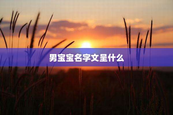男宝宝名字文呈什么