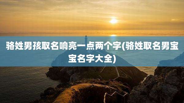 骆姓男孩取名响亮一点两个字(骆姓取名男宝宝名字大全)