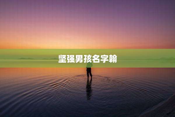 坚强男孩名字翰