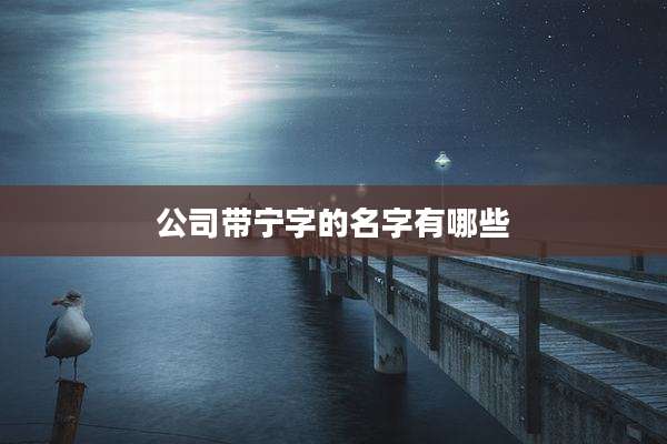公司带宁字的名字有哪些