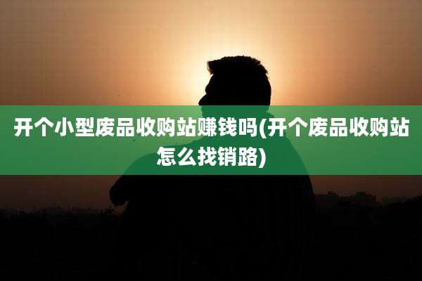开个小型废品收购站赚钱吗(开个废品收购站怎么找销路)