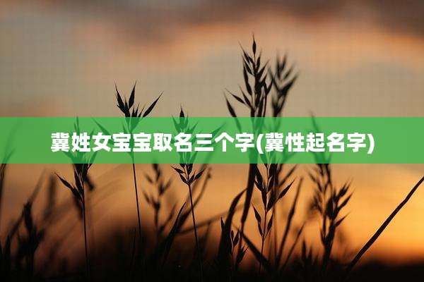 冀姓女宝宝取名三个字(冀性起名字)