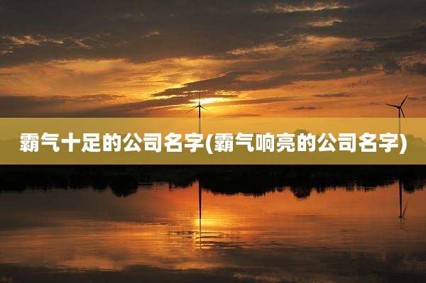 霸气十足的公司名字(霸气响亮的公司名字)