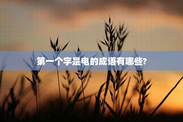 第一个字是电的成语有哪些?