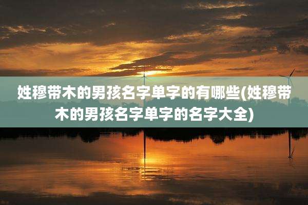 姓穆带木的男孩名字单字的有哪些(姓穆带木的男孩名字单字的名字大全)