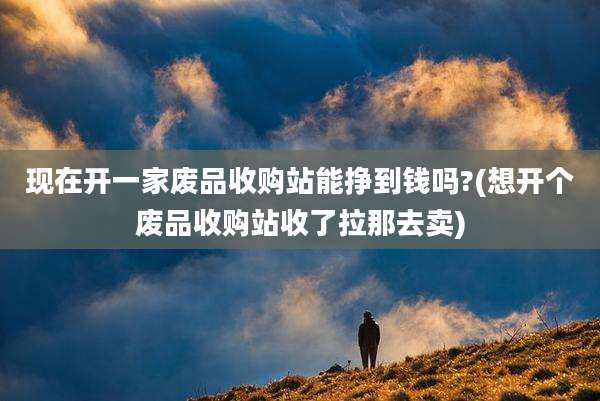 现在开一家废品收购站能挣到钱吗?(想开个废品收购站收了拉那去卖)