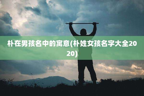 朴在男孩名中的寓意(朴姓女孩名字大全2020)