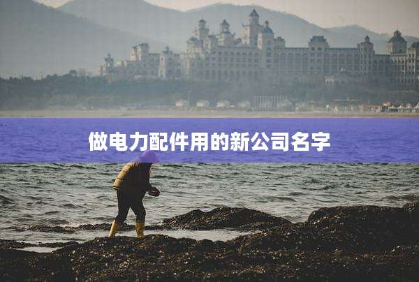 做电力配件用的新公司名字