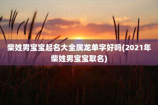 柴姓男宝宝起名大全属龙单字好吗(2021年柴姓男宝宝取名)