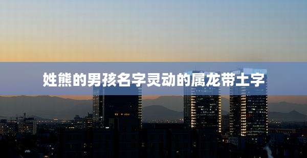 姓熊的男孩名字灵动的属龙带土字