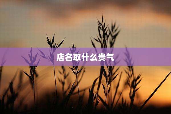 店名取什么贵气