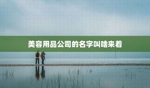美容用品公司的名字叫啥来着