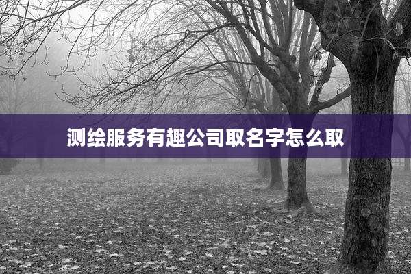 测绘服务有趣公司取名字怎么取