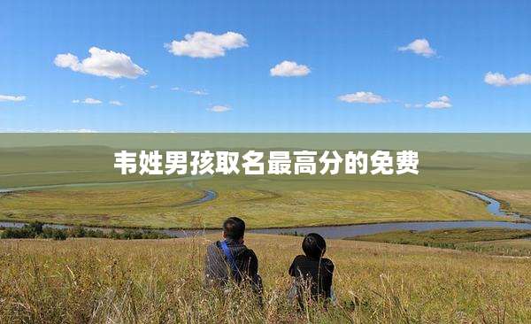 韦姓男孩取名最高分的免费