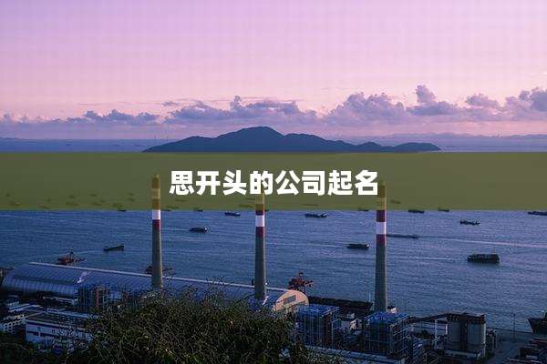 思开头的公司起名