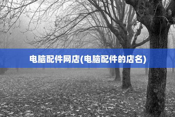 电脑配件网店(电脑配件的店名)