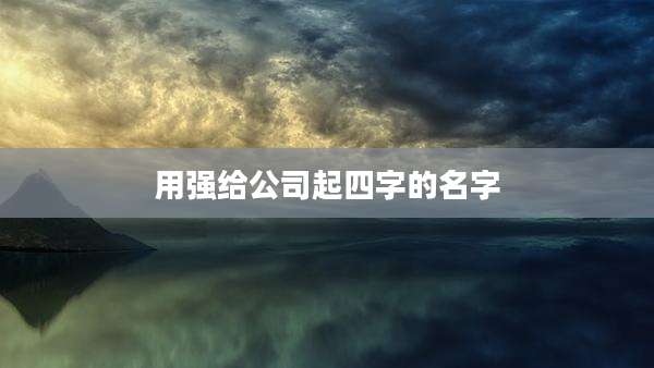用强给公司起四字的名字