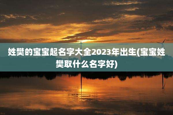 姓樊的宝宝起名字大全2023年出生(宝宝姓樊取什么名字好)