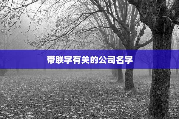 带联字有关的公司名字