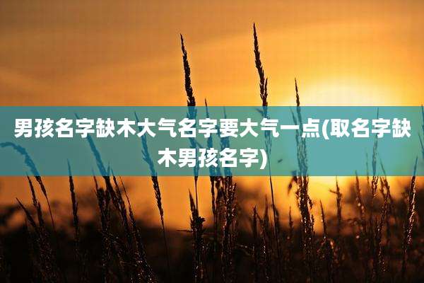 男孩名字缺木大气名字要大气一点(取名字缺木男孩名字)