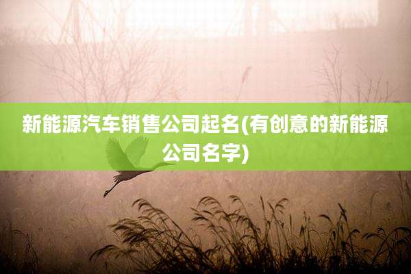 新能源汽车销售公司起名(有创意的新能源公司名字)