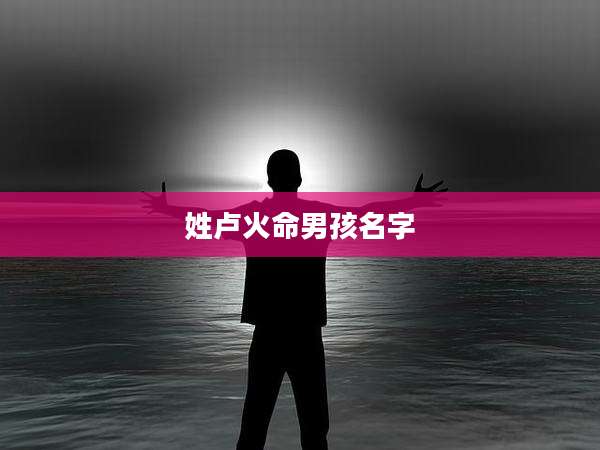 姓卢火命男孩名字