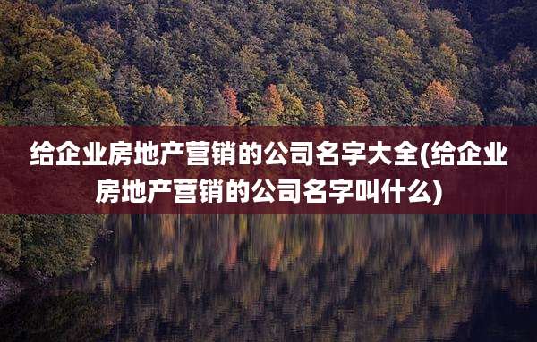 给企业房地产营销的公司名字大全(给企业房地产营销的公司名字叫什么)