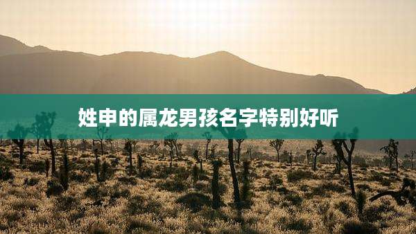 姓申的属龙男孩名字特别好听