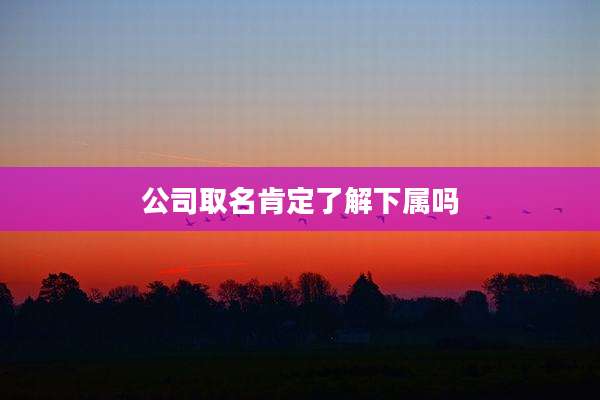公司取名肯定了解下属吗