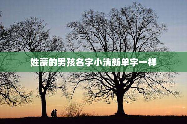 姓蒙的男孩名字小清新单字一样