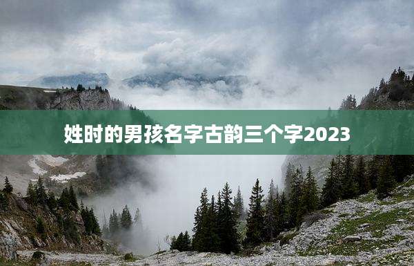 姓时的男孩名字古韵三个字2023