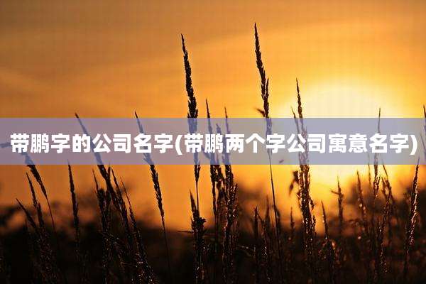 带鹏字的公司名字(带鹏两个字公司寓意名字)