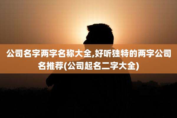 公司名字两字名称大全,好听独特的两字公司名推荐(公司起名二字大全)