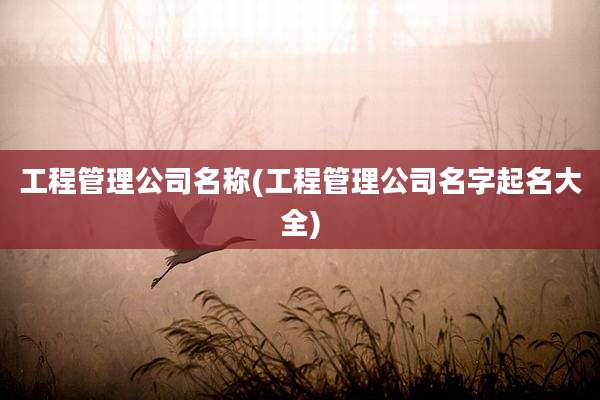 工程管理公司名称(工程管理公司名字起名大全)