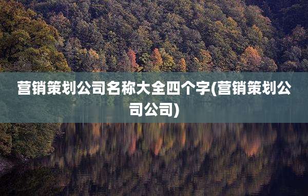 营销策划公司名称大全四个字(营销策划公司公司)