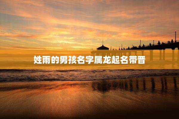 姓雨的男孩名字属龙起名带晋