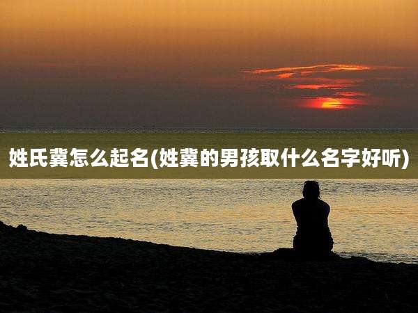 姓氏冀怎么起名(姓冀的男孩取什么名字好听)