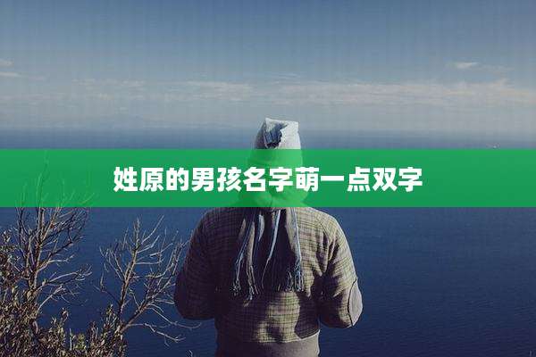 姓原的男孩名字萌一点双字