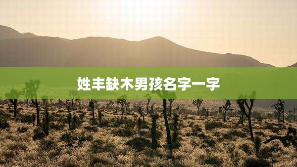 姓丰缺木男孩名字一字
