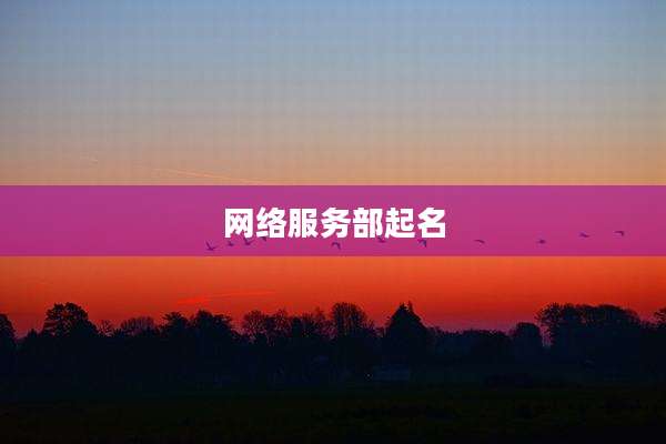 网络服务部起名