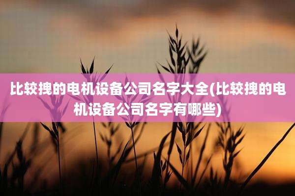 比较拽的电机设备公司名字大全(比较拽的电机设备公司名字有哪些)