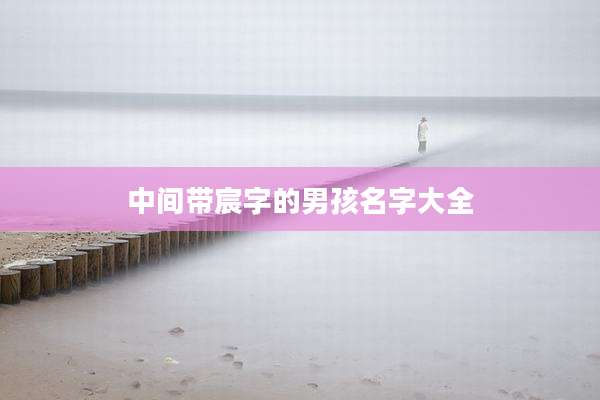 中间带宸字的男孩名字大全