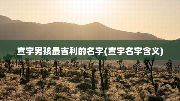 宣字男孩最吉利的名字(宣字名字含义)