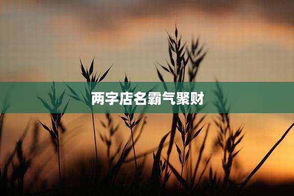 两字店名霸气聚财