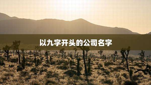 以九字开头的公司名字